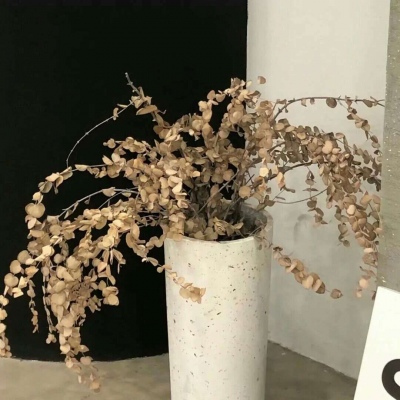 兽设潮流风格设计FurryQQ群